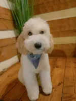 processed/95b79791-5157-4080-ae93-275fb4778cae/facility/05f0f3f6-69fc-4cd9-b000-e78bf42e5fb4