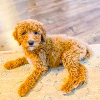 processed/95b79791-5157-4080-ae93-275fb4778cae/facility/1bcf5e63-25b9-431e-bd19-a84ae253041a