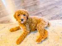 processed/95b79791-5157-4080-ae93-275fb4778cae/facility/1bcf5e63-25b9-431e-bd19-a84ae253041a