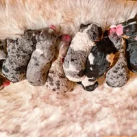 processed/95b79791-5157-4080-ae93-275fb4778cae/facility/1e47bfc0-caf2-46dc-a4ca-fa75b36d54ec