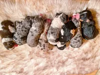 processed/95b79791-5157-4080-ae93-275fb4778cae/facility/1e47bfc0-caf2-46dc-a4ca-fa75b36d54ec