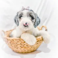 processed/95b79791-5157-4080-ae93-275fb4778cae/facility/22ad21b1-97f4-4a2c-b9cf-77ecbc757d45