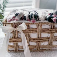 processed/95b79791-5157-4080-ae93-275fb4778cae/facility/2e1fc8ed-e422-441a-8876-6a44b58474b0