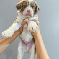 processed/95b79791-5157-4080-ae93-275fb4778cae/facility/58f4850e-80ee-44e3-ba0e-d615992cee28