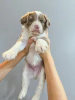 processed/95b79791-5157-4080-ae93-275fb4778cae/facility/58f4850e-80ee-44e3-ba0e-d615992cee28