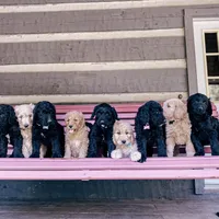 processed/95b79791-5157-4080-ae93-275fb4778cae/facility/63c0ad5a-367b-4195-ae3a-114a308a14ce