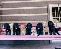 processed/95b79791-5157-4080-ae93-275fb4778cae/facility/63c0ad5a-367b-4195-ae3a-114a308a14ce