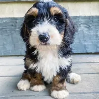 processed/95b79791-5157-4080-ae93-275fb4778cae/facility/705fbaf8-354c-443a-83ec-1ad78d485011