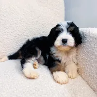 processed/95b79791-5157-4080-ae93-275fb4778cae/facility/c9bd382d-3474-449d-b506-445c45ff43a1