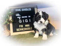 processed/95b79791-5157-4080-ae93-275fb4778cae/listing/173bf53b-f40f-4275-a833-fc613cae4d02/139a34c2-44f7-49b6-96eb-71674ac8760e