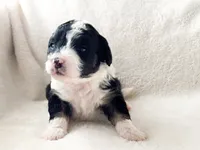 processed/95b79791-5157-4080-ae93-275fb4778cae/listing/173bf53b-f40f-4275-a833-fc613cae4d02/1de182db-a99c-4e84-bcac-3f8357fbf39a