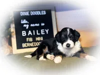 processed/95b79791-5157-4080-ae93-275fb4778cae/listing/6b0e44cd-ec55-466d-846d-47c2f8aff677/5d645966-6602-42ce-98a0-a7218ebb5d55