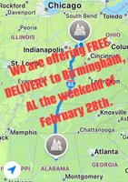 F1b Diamond, a female Miniature Bernedoodle for sale in Hagerstown, IN – Photo 4 of 4