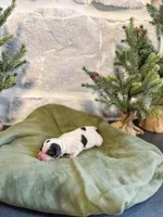 processed/95b79791-5157-4080-ae93-275fb4778cae/listing/75ee2c83-8f19-49c4-9de3-20dc31b05e10/6307d378-64fb-4154-80d5-fd246bf2afd7