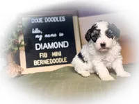 processed/95b79791-5157-4080-ae93-275fb4778cae/listing/75ee2c83-8f19-49c4-9de3-20dc31b05e10/8ae63be0-8a0e-41ae-9c1d-089583eb59e5