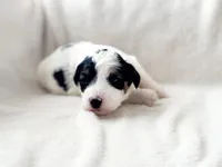 processed/95b79791-5157-4080-ae93-275fb4778cae/listing/75ee2c83-8f19-49c4-9de3-20dc31b05e10/c67e5ef8-7f20-4300-99c4-dfc74edb67e2