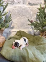 processed/95b79791-5157-4080-ae93-275fb4778cae/listing/75ee2c83-8f19-49c4-9de3-20dc31b05e10/ce7fdce5-cf8c-4fbc-9905-272522a3b473