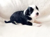 processed/95b79791-5157-4080-ae93-275fb4778cae/listing/7e462e5a-335c-4ff2-8757-86819d25a1dd/14f50c54-0891-458e-9fd1-df7105334800