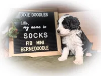 processed/95b79791-5157-4080-ae93-275fb4778cae/listing/7e462e5a-335c-4ff2-8757-86819d25a1dd/30202d54-8530-4dde-b5ef-3f28916f69a6