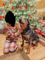 Rambo, a male Australian Cattle Dog for sale in Hagerstown, IN – Photo 2 of 8