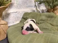 processed/95b79791-5157-4080-ae93-275fb4778cae/listing/bf0692ca-d428-40dd-b002-3bf58272cdb2/b442c177-fee3-437e-b1a1-3cf1142a9590