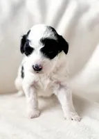 processed/95b79791-5157-4080-ae93-275fb4778cae/listing/bf0692ca-d428-40dd-b002-3bf58272cdb2/e098dccd-c931-435b-9ccc-1c11529492d0