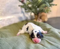 processed/95b79791-5157-4080-ae93-275fb4778cae/listing/f3675eb1-518e-44f6-8feb-ad393dfbb523/c37c229a-ad4b-4b5c-a4d2-835b9f19230c