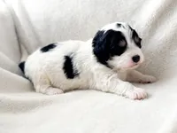 processed/95b79791-5157-4080-ae93-275fb4778cae/listing/f3675eb1-518e-44f6-8feb-ad393dfbb523/f6a1fab9-aa7a-48e8-b6eb-84a853ca63ab