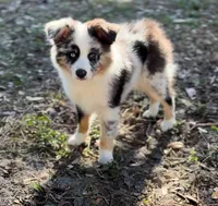 processed/95b89be7-54eb-430f-b6d4-3889605a50a0/facility/4e6d2866-8a5d-4409-ba78-440c226af112