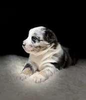 processed/95b89be7-54eb-430f-b6d4-3889605a50a0/facility/617020d9-7c07-410e-a7cd-af6ceb781bab