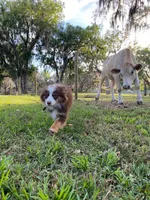 processed/95b89be7-54eb-430f-b6d4-3889605a50a0/facility/620e75e5-c604-4d2a-8520-1e5c6a9fa596