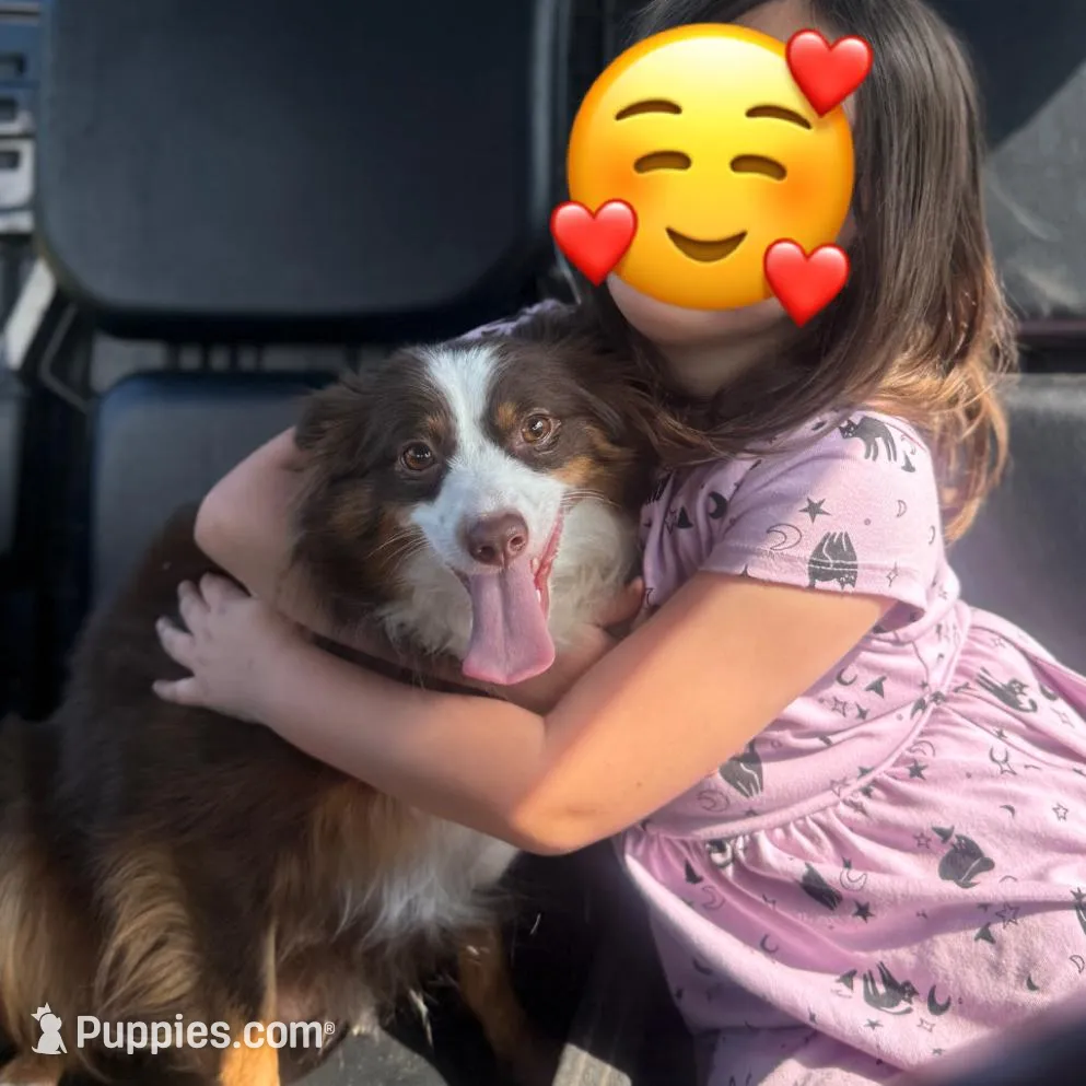 processed/95b89be7-54eb-430f-b6d4-3889605a50a0/facility/9d7fed1f-13d8-4074-81e7-7cb48df68aae