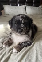 processed/95b89be7-54eb-430f-b6d4-3889605a50a0/facility/a19dd97d-ef30-43c1-a80d-75a7cc832992