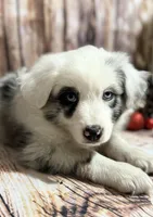 processed/95b89be7-54eb-430f-b6d4-3889605a50a0/facility/abd172c2-0122-4d28-a284-4aa85af2103f