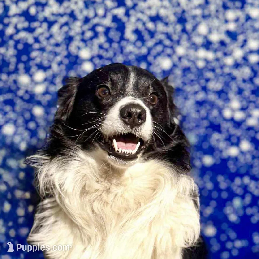 processed/95b89be7-54eb-430f-b6d4-3889605a50a0/facility/b043816b-7a82-4390-a8f7-6663e56b4f6a