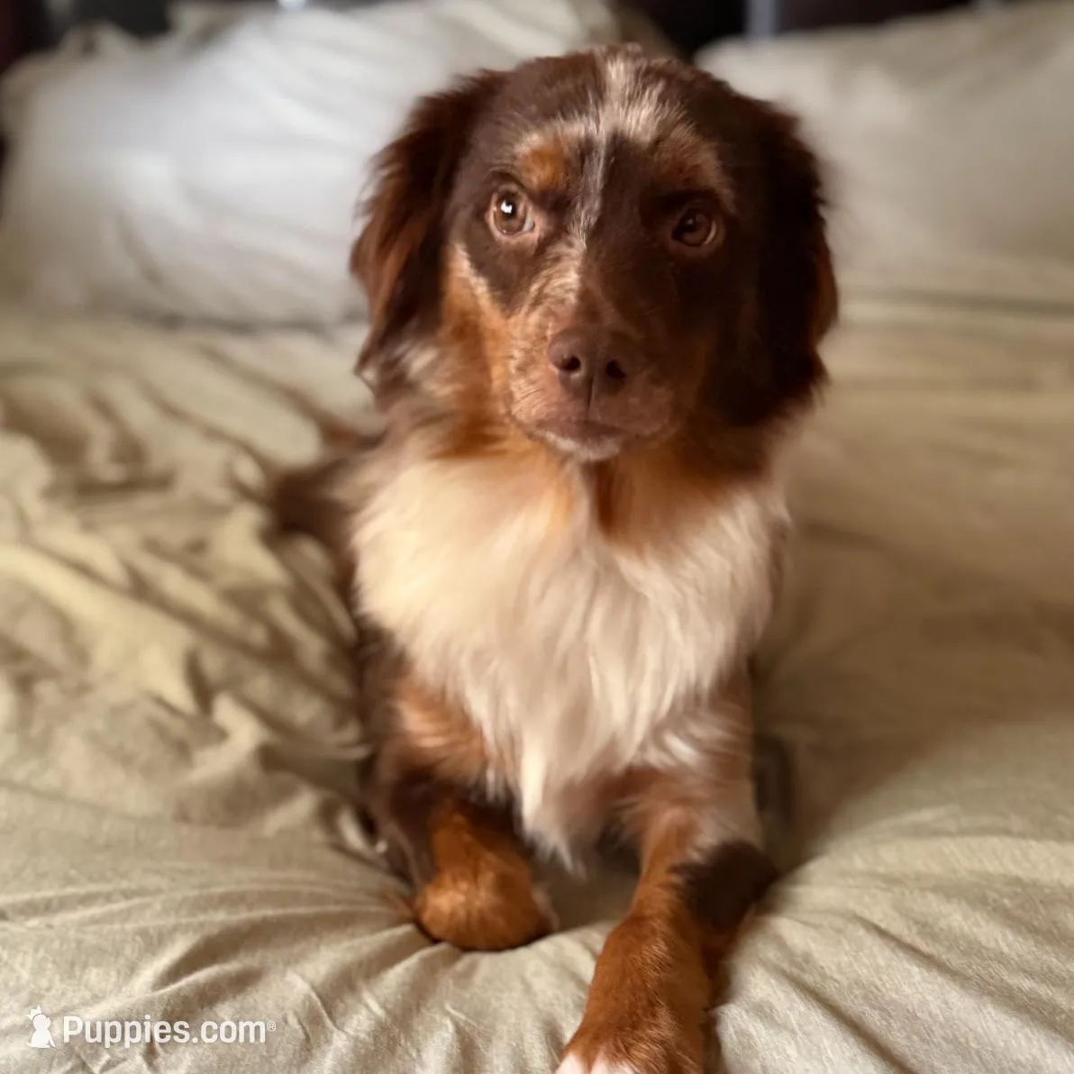 processed/95b89be7-54eb-430f-b6d4-3889605a50a0/facility/de881cda-249e-4cc6-86ab-1f3484367f9b