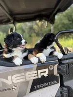 processed/95b89be7-54eb-430f-b6d4-3889605a50a0/facility/fcb975e1-578d-47db-ba8c-94c521503790