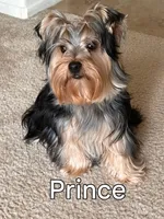 processed/95c675a0-a0d6-44b2-9b76-e0d3759b06a2/facility/86c7f043-fc65-4231-bd10-6a1b2749cc40