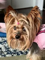 processed/95c675a0-a0d6-44b2-9b76-e0d3759b06a2/facility/89438bcf-6977-4584-ba35-1a14beae8eac