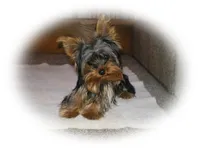 processed/95c675a0-a0d6-44b2-9b76-e0d3759b06a2/facility/a15d19bd-71e7-4d0e-b274-58624fc48607