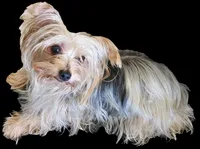 processed/95c675a0-a0d6-44b2-9b76-e0d3759b06a2/facility/b865ac89-9629-4805-8214-d73e6cac5fc6