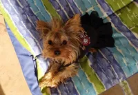 processed/95c675a0-a0d6-44b2-9b76-e0d3759b06a2/facility/bd5e75e4-edb2-4813-a40a-f4894b48a45e