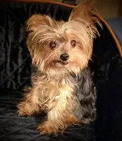 processed/95c675a0-a0d6-44b2-9b76-e0d3759b06a2/facility/c3cff022-8042-4fd5-add0-aa62335481a6