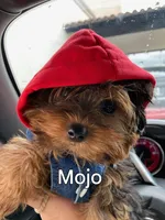 processed/95c675a0-a0d6-44b2-9b76-e0d3759b06a2/facility/e720fde7-16f8-43c6-9862-bdc988efa6d1