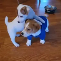 processed/95d107e2-fdb1-4c46-9886-f76cdfe8917b/facility/3c4b61f0-4dcf-468d-a5cc-4ca93de33618