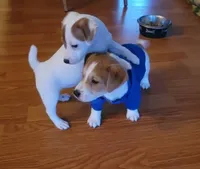 processed/95d107e2-fdb1-4c46-9886-f76cdfe8917b/facility/3c4b61f0-4dcf-468d-a5cc-4ca93de33618