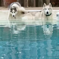 processed/95d107e2-fdb1-4c46-9886-f76cdfe8917b/facility/3f44395c-2ef3-4337-9d73-d536332a61f1