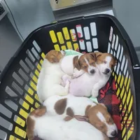 processed/95d107e2-fdb1-4c46-9886-f76cdfe8917b/facility/4682efca-0e63-4e21-a46e-a517d84e4465