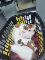 processed/95d107e2-fdb1-4c46-9886-f76cdfe8917b/facility/4682efca-0e63-4e21-a46e-a517d84e4465