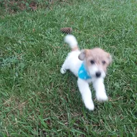 processed/95d107e2-fdb1-4c46-9886-f76cdfe8917b/facility/590008f6-ec5d-4004-ada6-83f2f3b28401